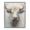 Stupell Industries Centered White Cattle Framed Giclee Wall Art Design by Arlington Prints